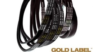 GOLD LABEL Keilriemen Industrielle