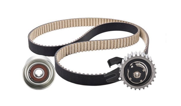 Dayco 95186FN Timing Belt 