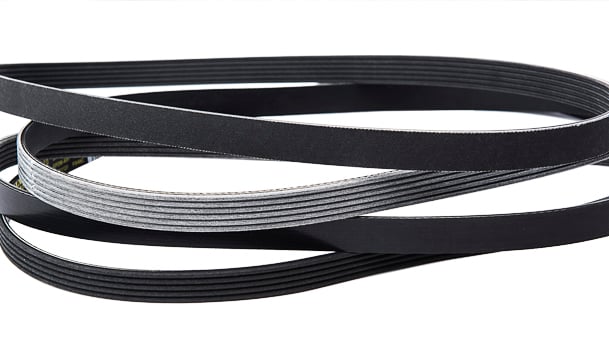 Poly V Serpentine Belts Dayco Aftermarket Global